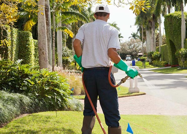 About Harbeson DE Pest Control